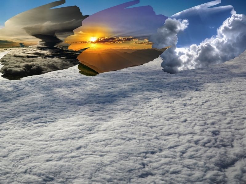 Biotic and Abiotic Components of Environment